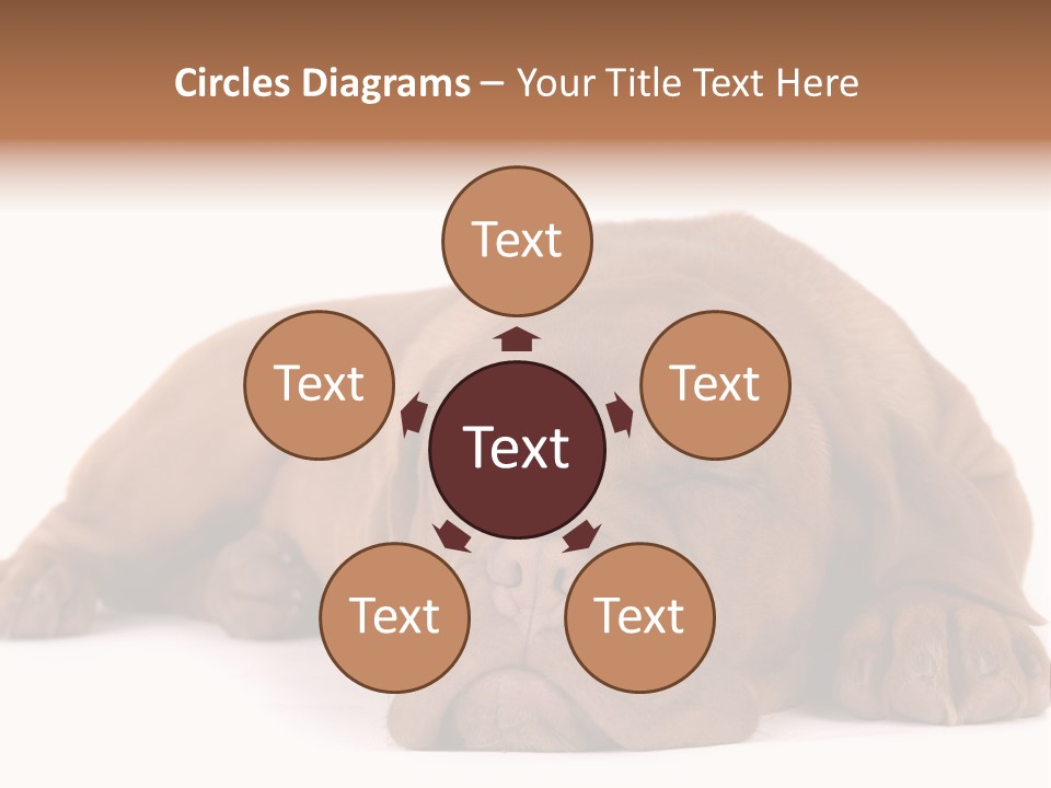 Equipment Part Ventilation PowerPoint Template
