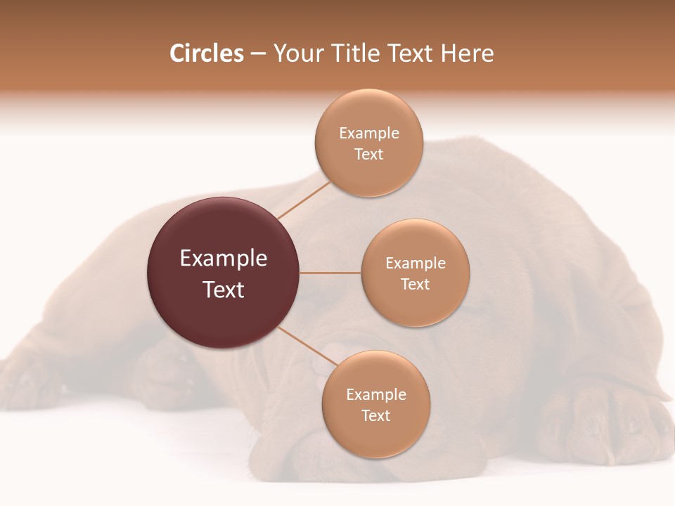 Equipment Part Ventilation PowerPoint Template