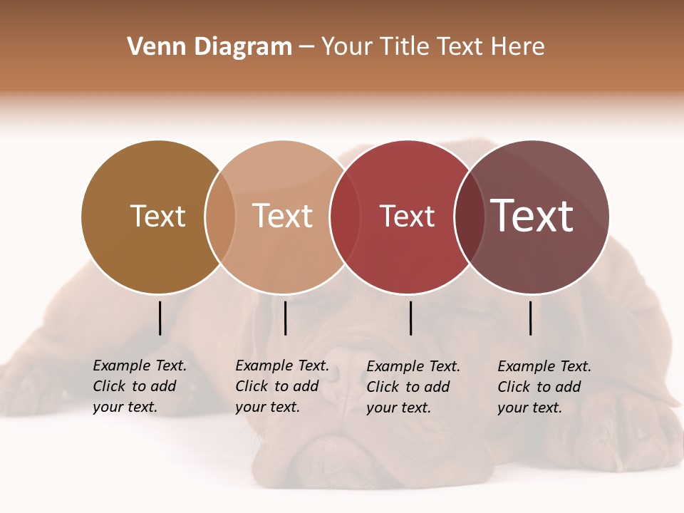 Equipment Part Ventilation PowerPoint Template