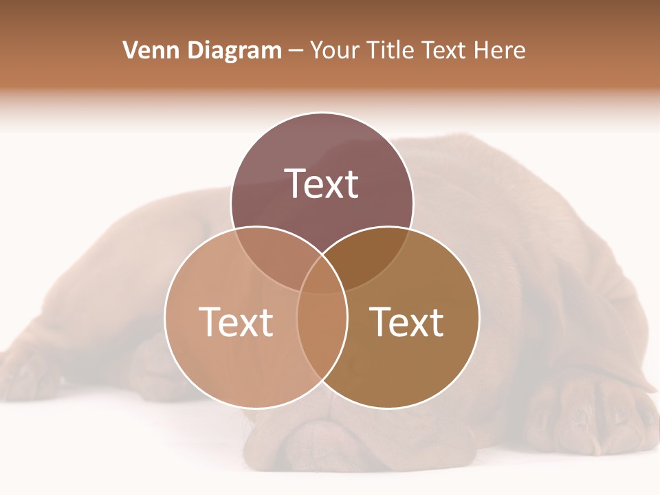 Equipment Part Ventilation PowerPoint Template
