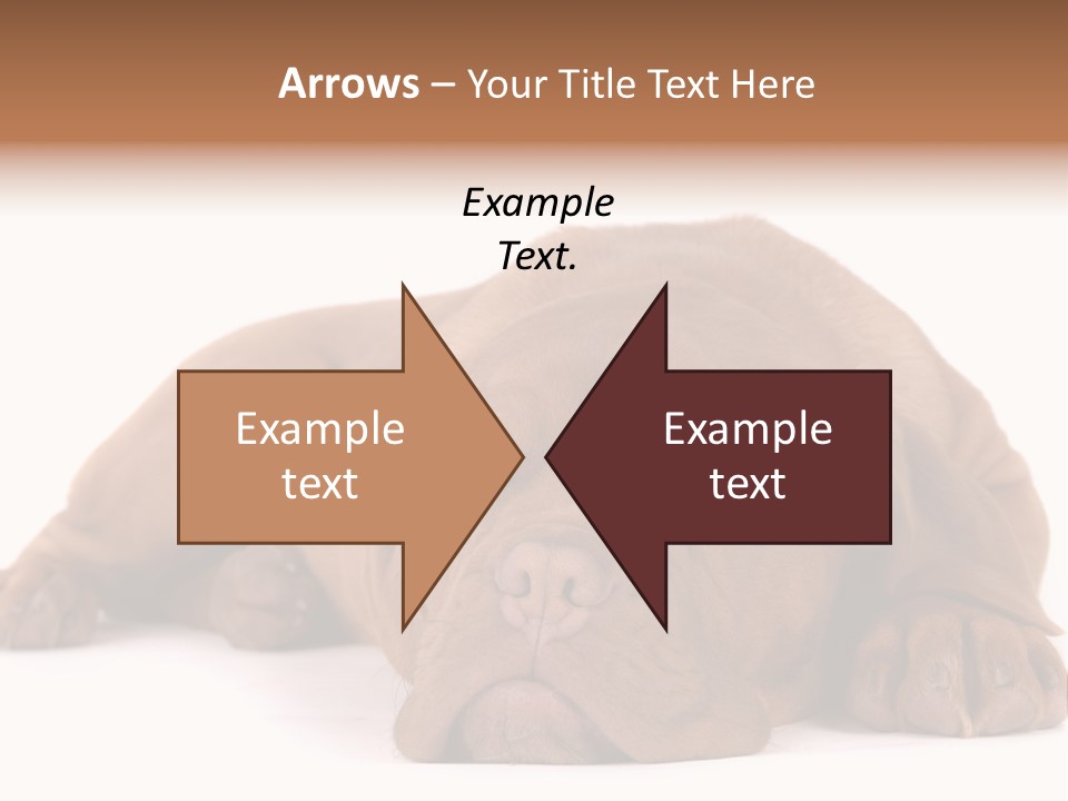 Equipment Part Ventilation PowerPoint Template