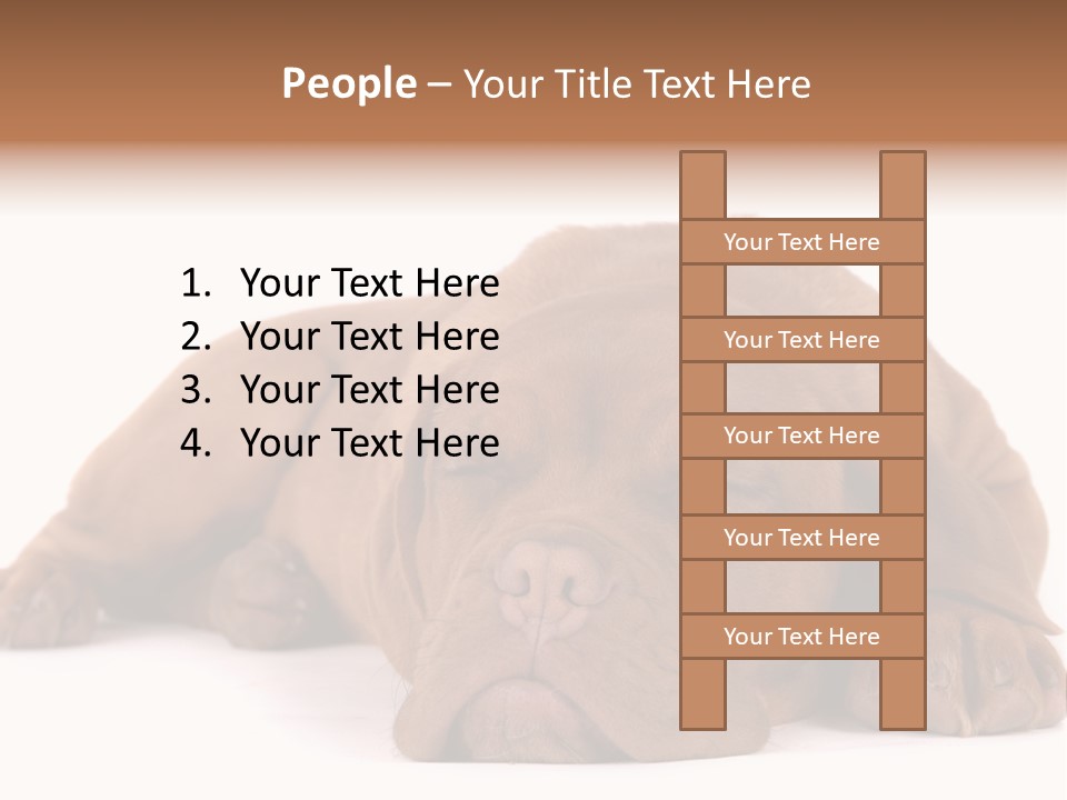 Equipment Part Ventilation PowerPoint Template