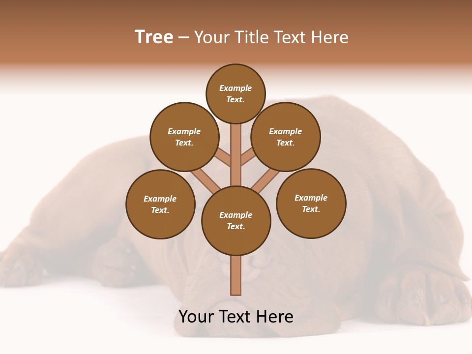 Equipment Part Ventilation PowerPoint Template