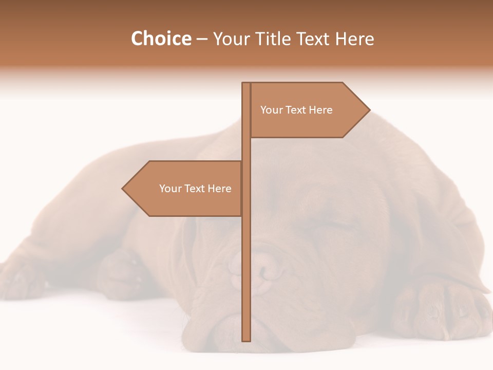 Equipment Part Ventilation PowerPoint Template