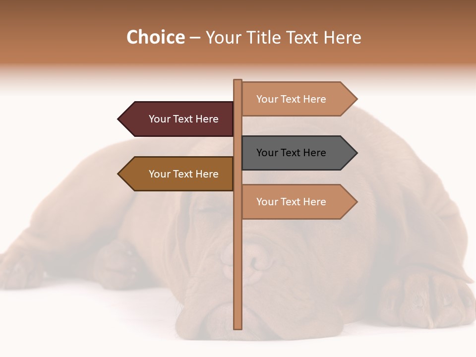 Equipment Part Ventilation PowerPoint Template
