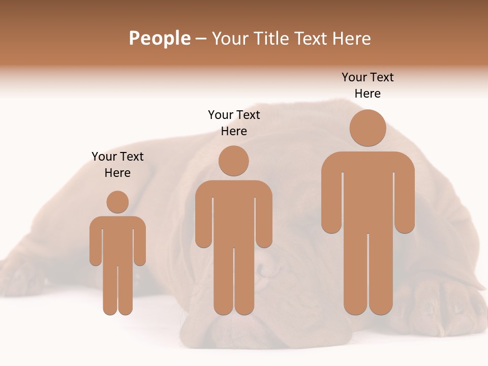 Equipment Part Ventilation PowerPoint Template