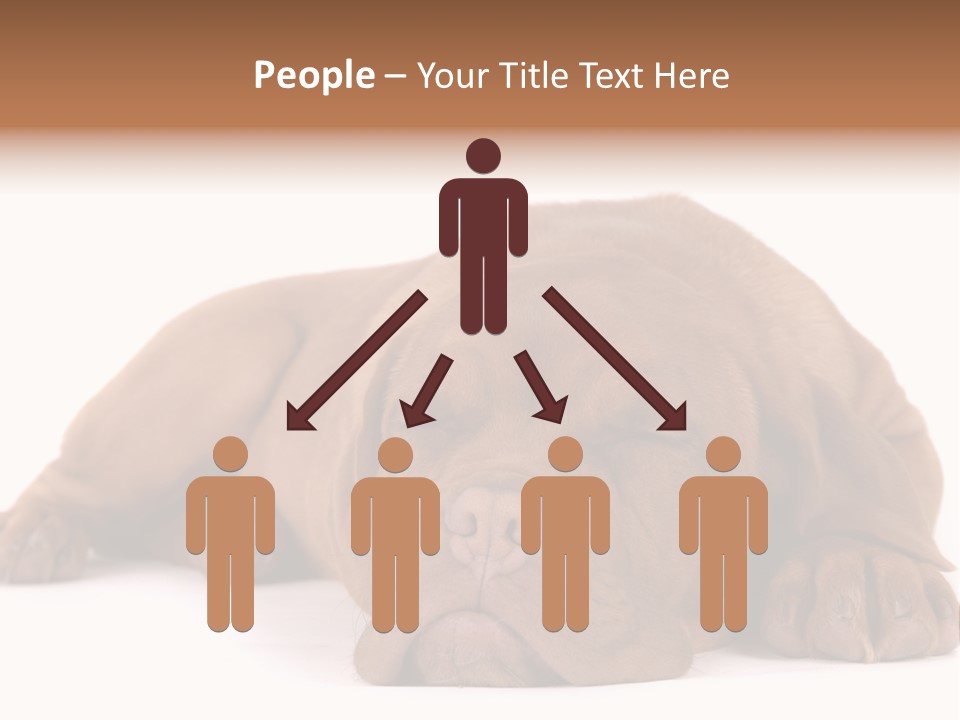 Equipment Part Ventilation PowerPoint Template