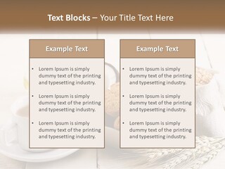 Switch Condition House PowerPoint Template