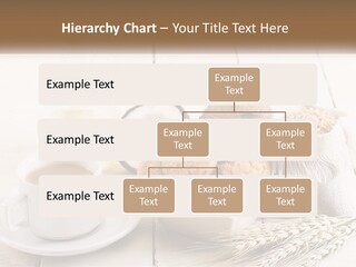 Switch Condition House PowerPoint Template
