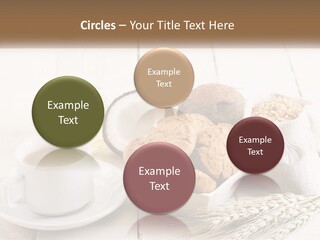 Switch Condition House PowerPoint Template