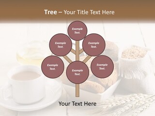 Switch Condition House PowerPoint Template