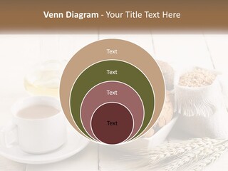 Switch Condition House PowerPoint Template