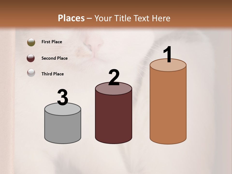 Remote Electric Temperature PowerPoint Template