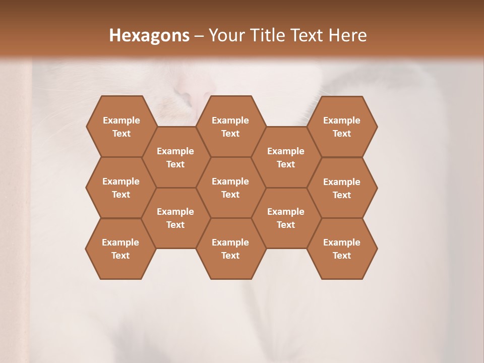Remote Electric Temperature PowerPoint Template