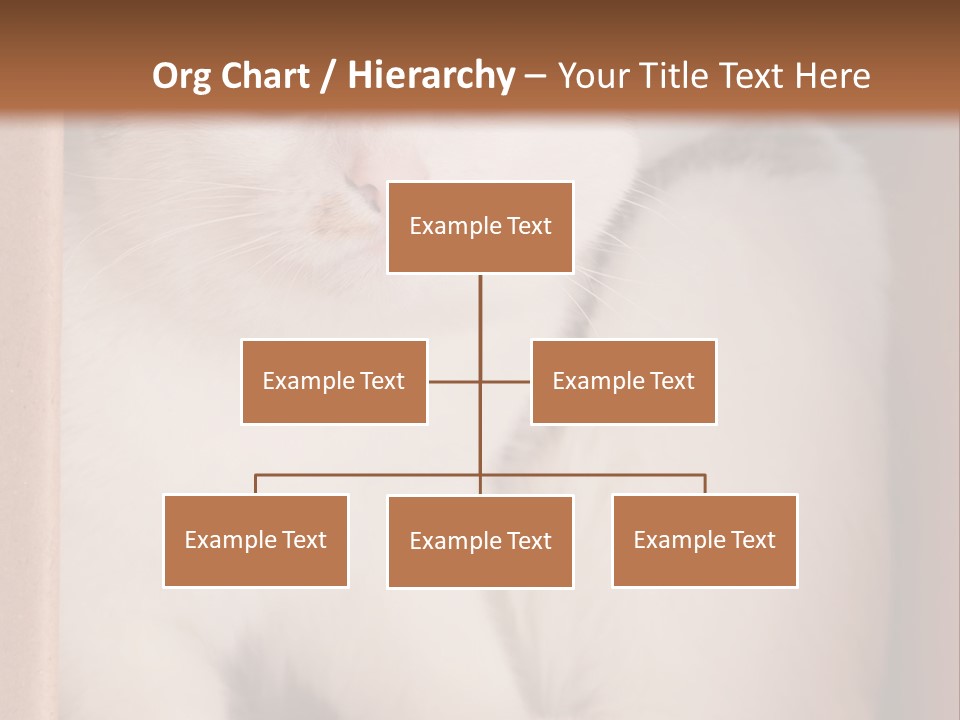 Remote Electric Temperature PowerPoint Template
