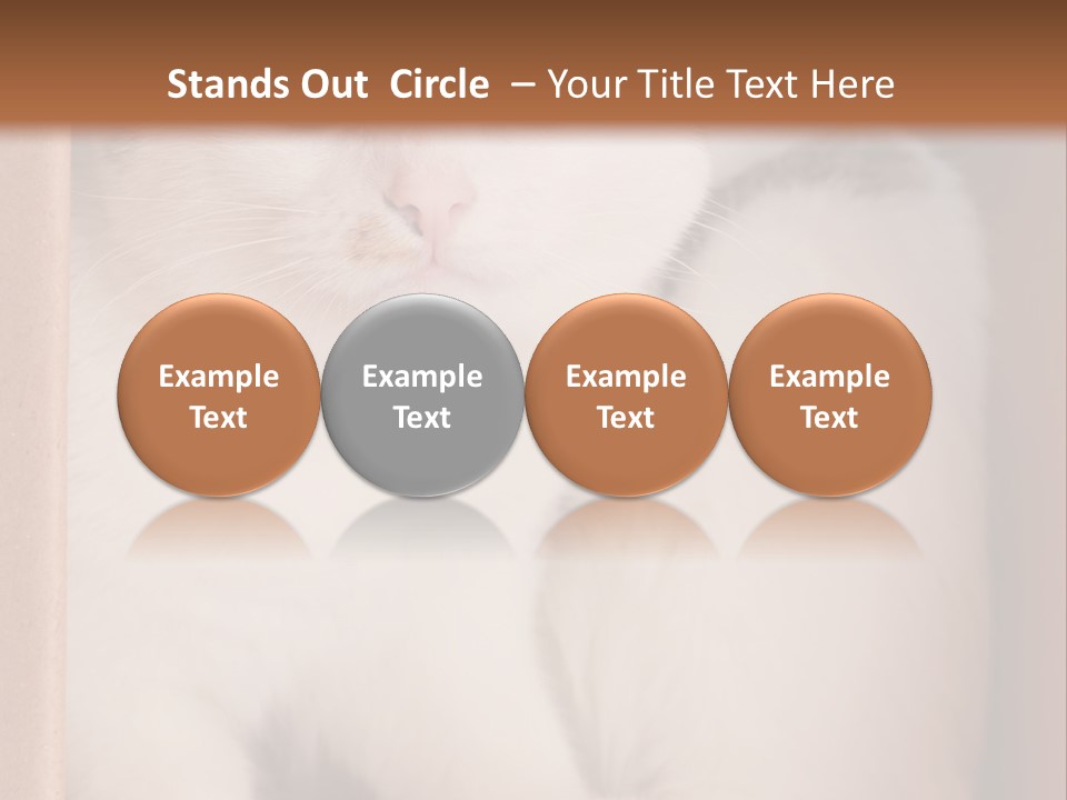 Remote Electric Temperature PowerPoint Template