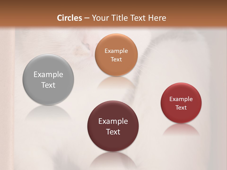 Remote Electric Temperature PowerPoint Template