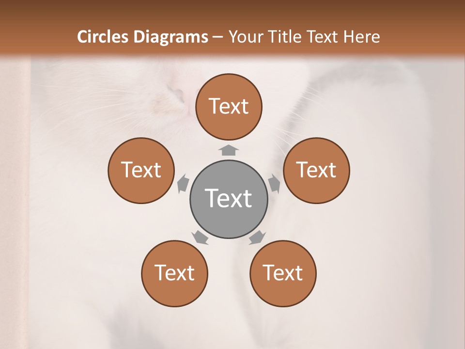 Remote Electric Temperature PowerPoint Template