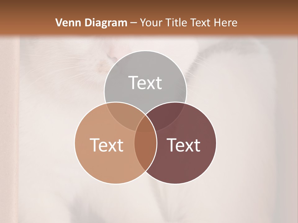Remote Electric Temperature PowerPoint Template