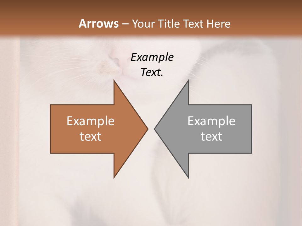 Remote Electric Temperature PowerPoint Template