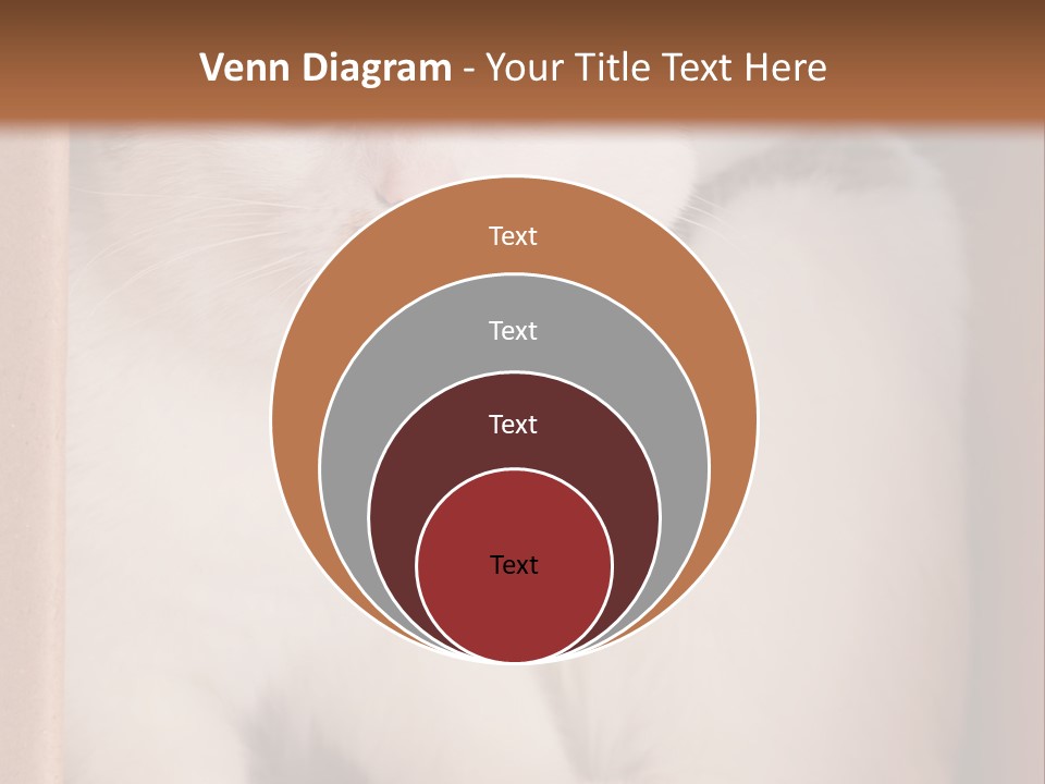 Remote Electric Temperature PowerPoint Template