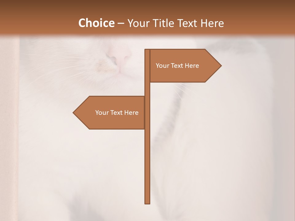 Remote Electric Temperature PowerPoint Template