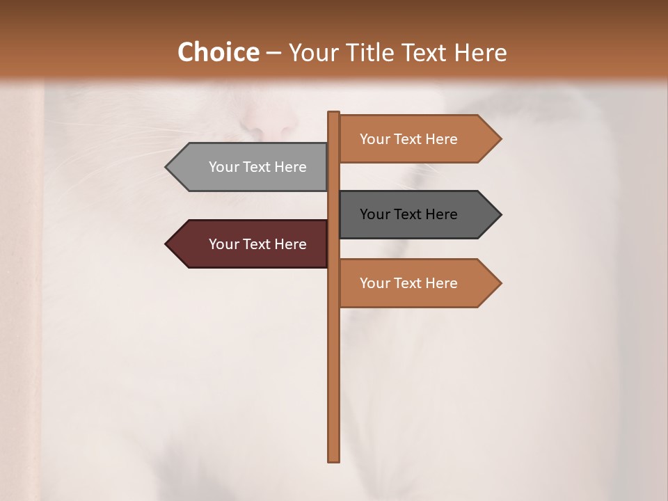 Remote Electric Temperature PowerPoint Template
