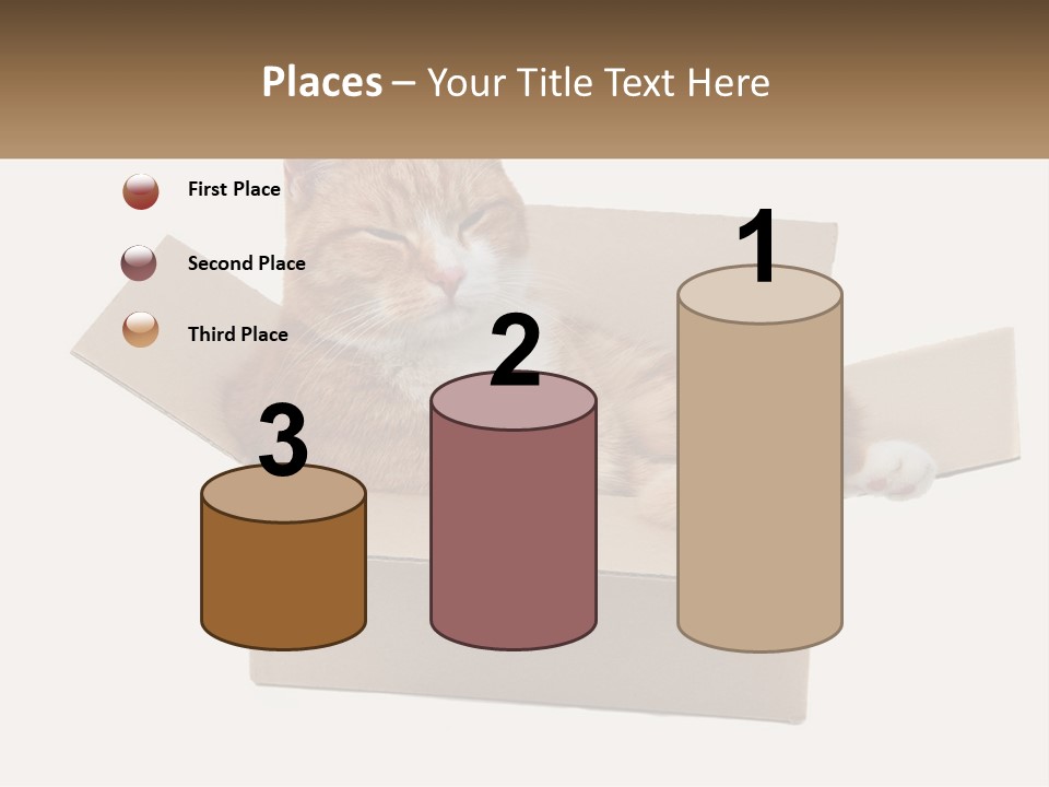Heat System Condition PowerPoint Template