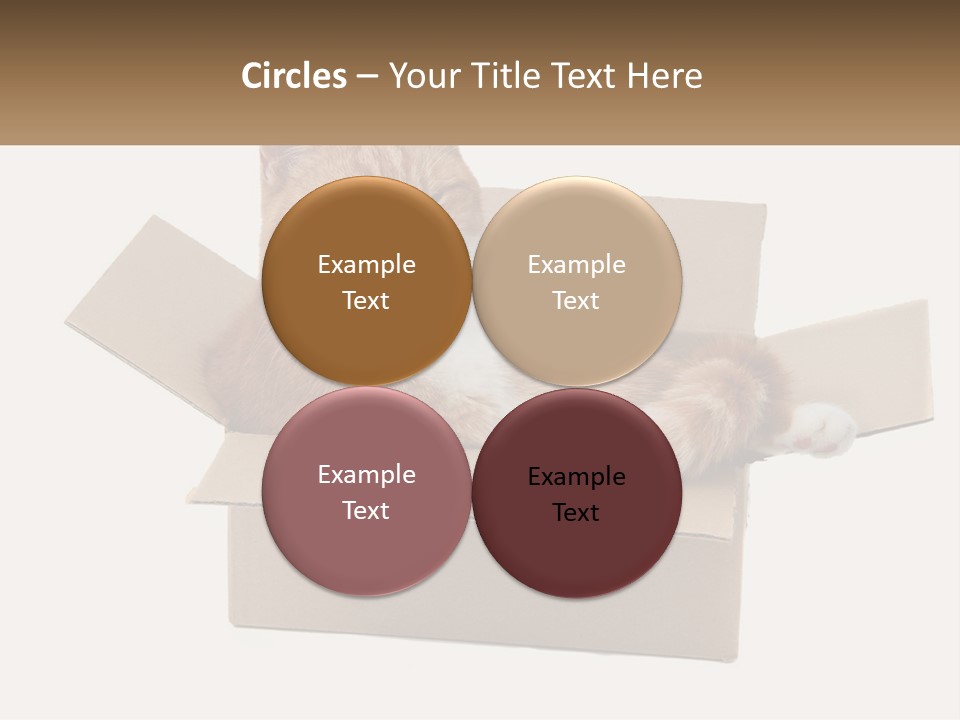 Heat System Condition PowerPoint Template