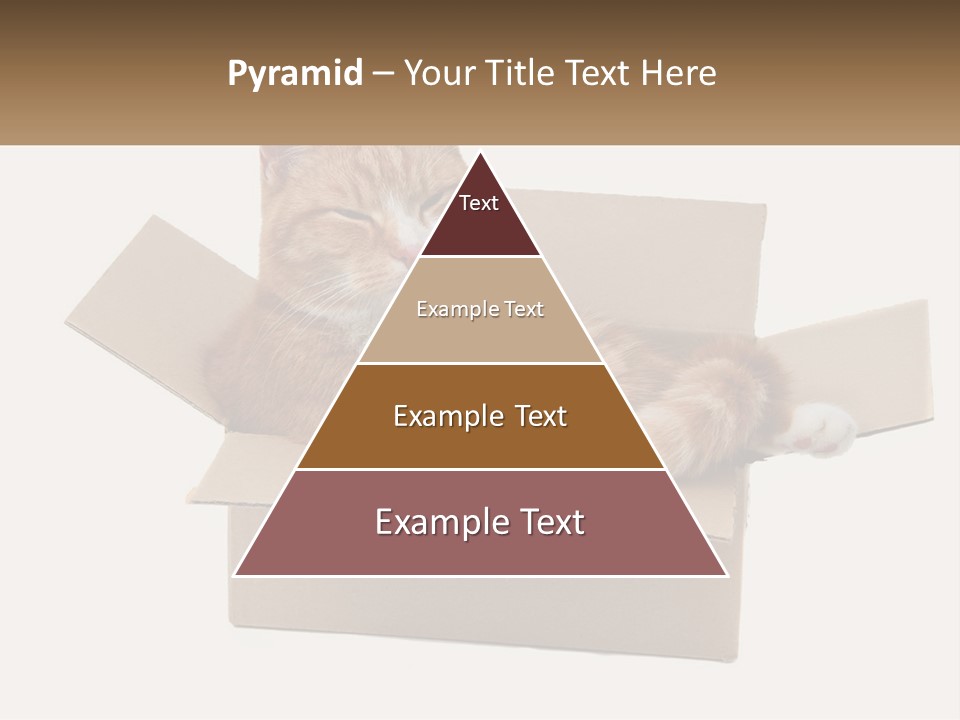 Heat System Condition PowerPoint Template