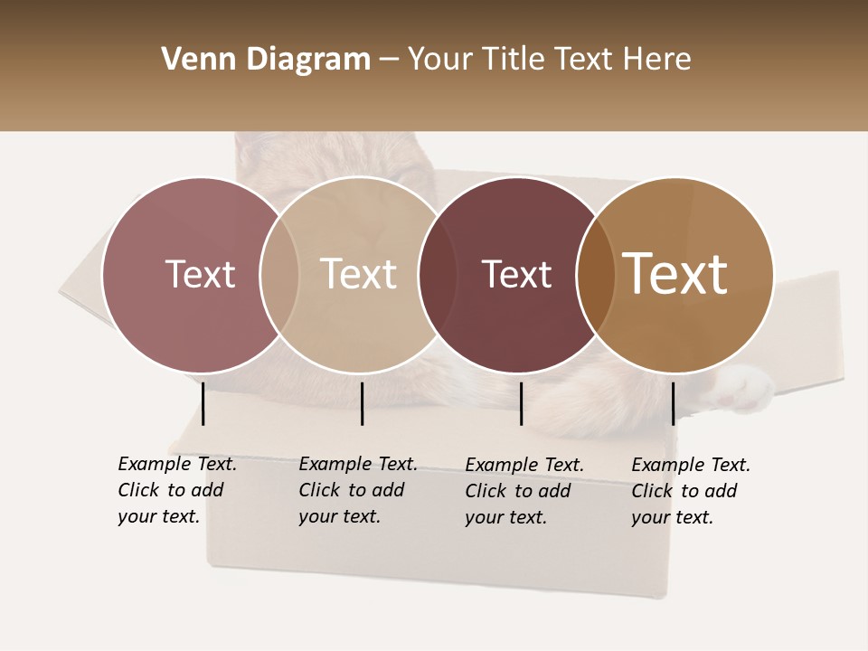 Heat System Condition PowerPoint Template