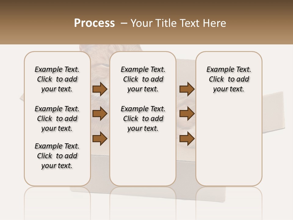Heat System Condition PowerPoint Template