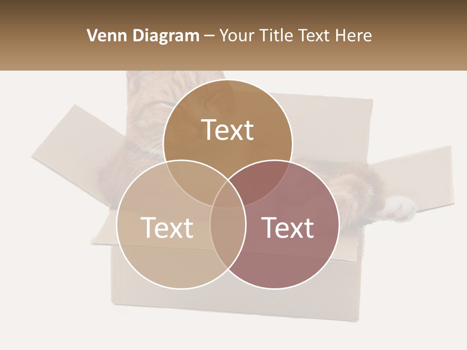 Heat System Condition PowerPoint Template