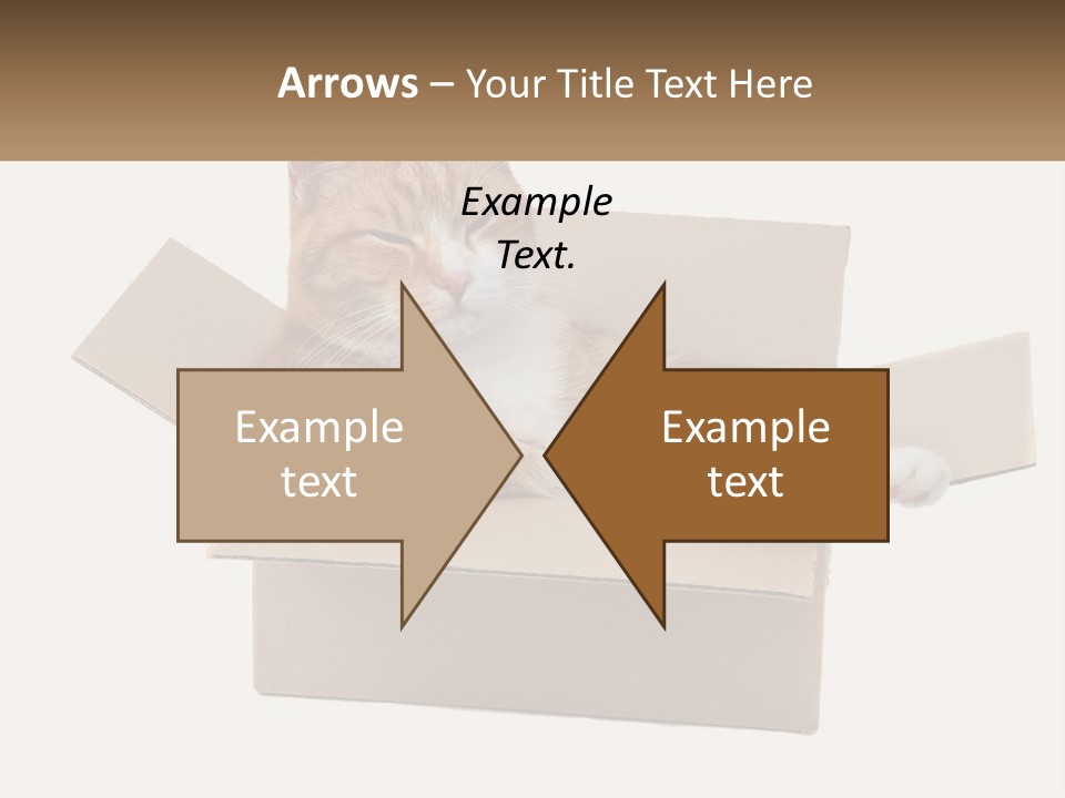 Heat System Condition PowerPoint Template