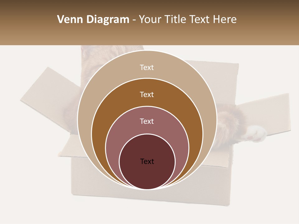 Heat System Condition PowerPoint Template