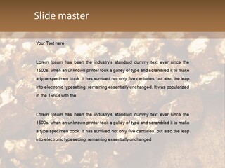 Power Conditioner Remote PowerPoint Template