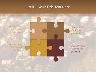 Power Conditioner Remote PowerPoint Template