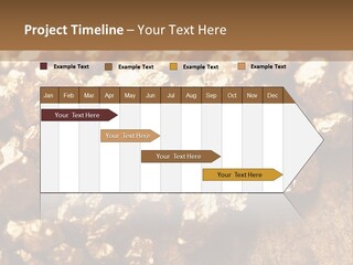 Power Conditioner Remote PowerPoint Template