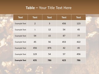 Power Conditioner Remote PowerPoint Template