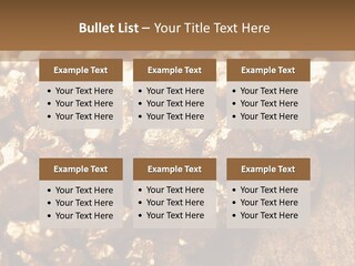 Power Conditioner Remote PowerPoint Template