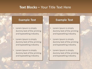 Power Conditioner Remote PowerPoint Template