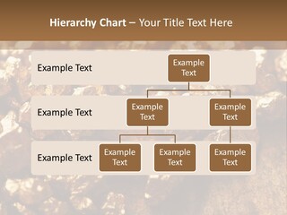 Power Conditioner Remote PowerPoint Template