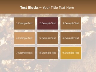 Power Conditioner Remote PowerPoint Template