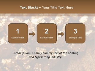 Power Conditioner Remote PowerPoint Template