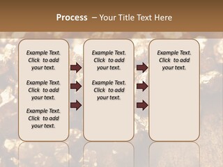 Power Conditioner Remote PowerPoint Template