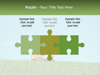 House Supply Electric PowerPoint Template