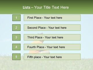 House Supply Electric PowerPoint Template