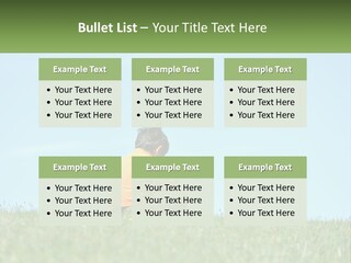 House Supply Electric PowerPoint Template