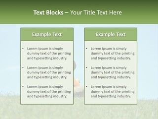 House Supply Electric PowerPoint Template