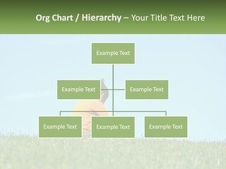 House Supply Electric PowerPoint Template
